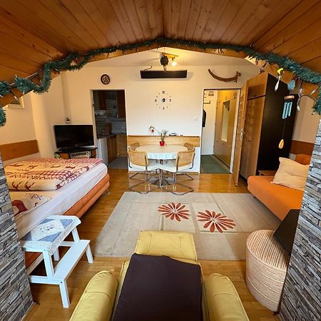 קרנייסקה גורה Apartma Snezko מראה חיצוני תמונה