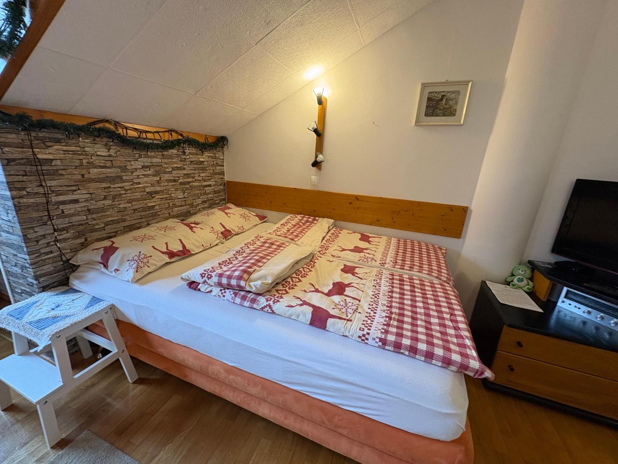 קרנייסקה גורה Apartma Snezko מראה חיצוני תמונה
