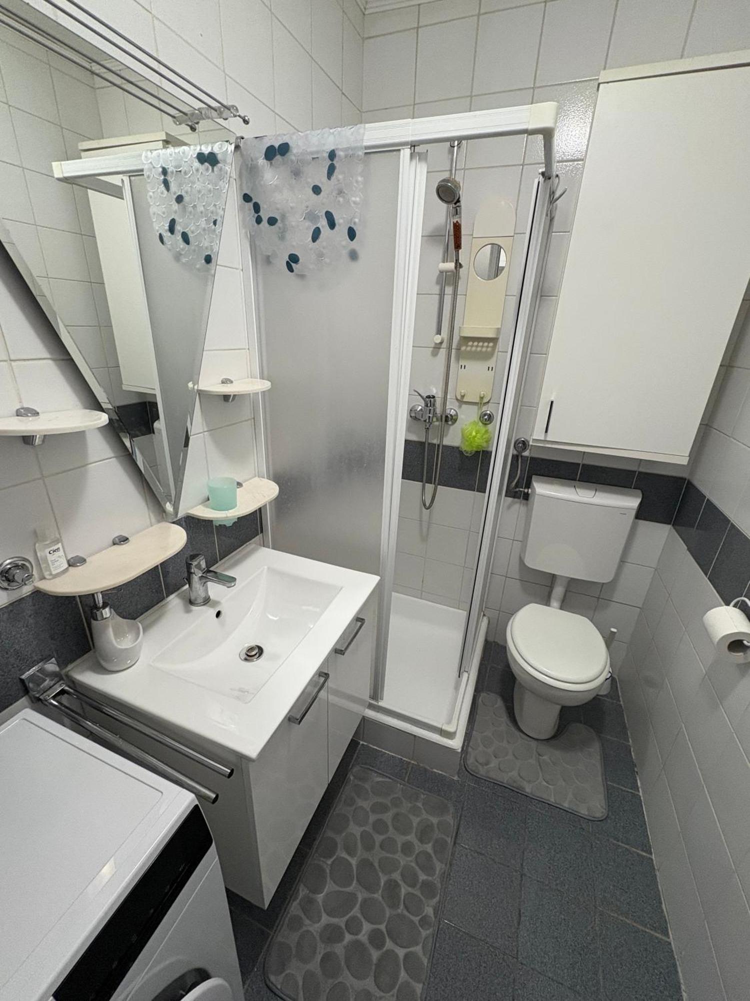 קרנייסקה גורה Apartma Snezko מראה חיצוני תמונה